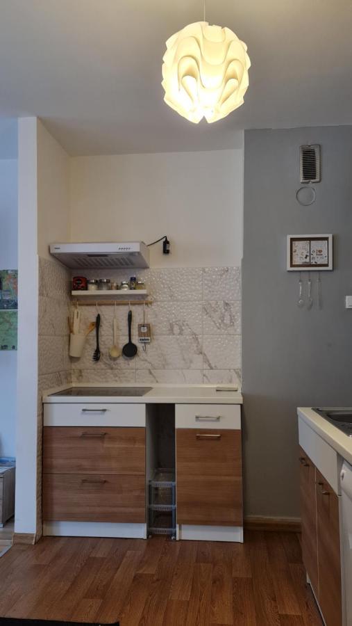 Apartment Pemper - Self check in&check out Otočac Esterno foto